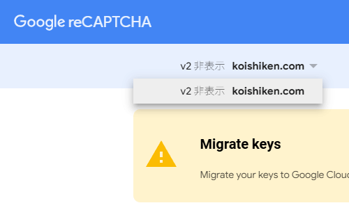 Google reCAPTCHAのドメイン名
